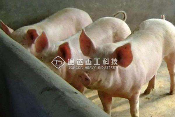 養(yǎng)殖場(chǎng)糞便怎么處理變成有機(jī)肥?養(yǎng)豬廠糞污有機(jī)肥生產(chǎn)線如何建?  