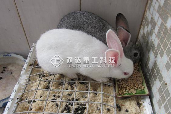 兔糞有機(jī)肥生產(chǎn)線怎么配置?兔糞做有機(jī)肥需要什么? 