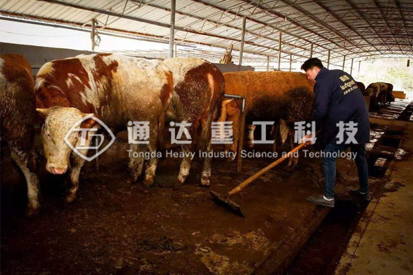 怎樣用牛糞做有機肥?牛糞有機肥肥料生產設備有哪些?