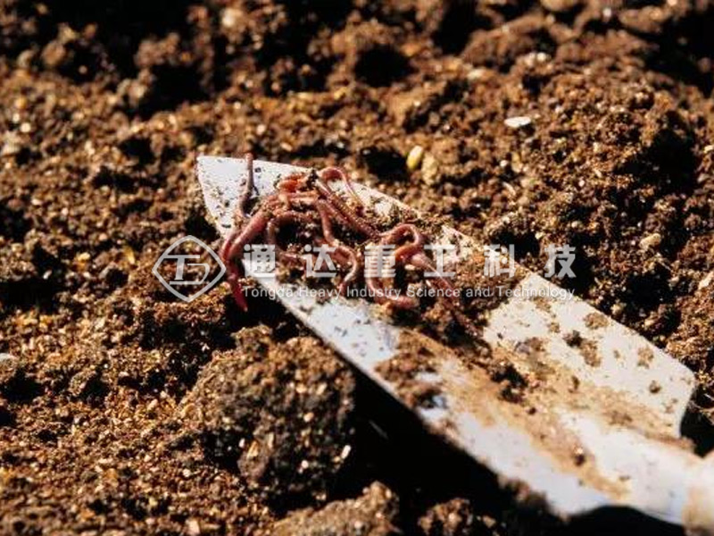 秸稈、牛糞按比例混合發酵變廢為寶，蚯蚓糞有機肥迎來的市場